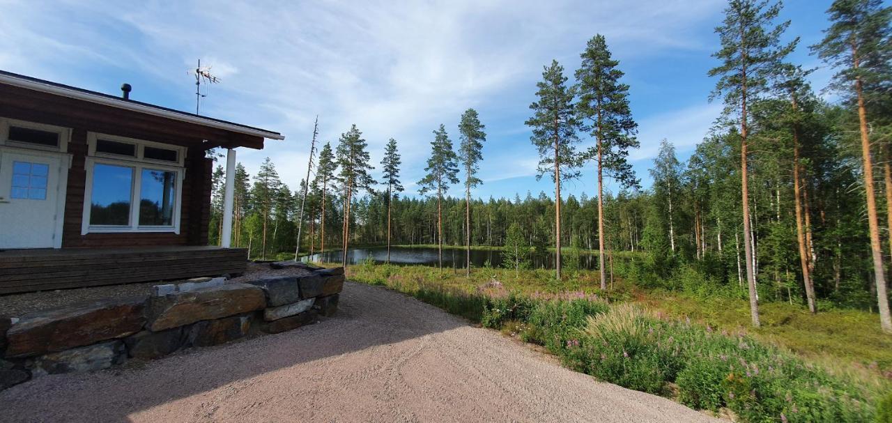 Luxury Villa Rahavaara 约恩苏 外观 照片