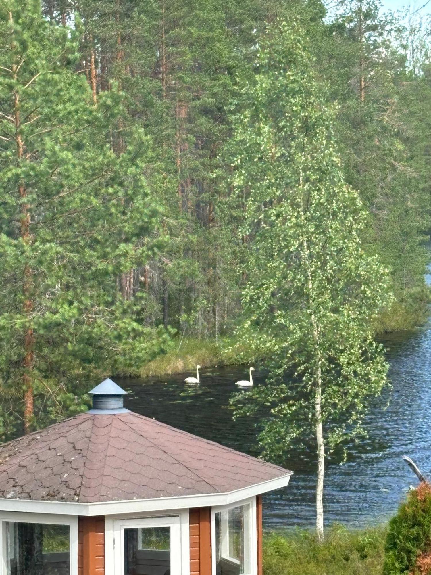 Luxury Villa Rahavaara 约恩苏 外观 照片